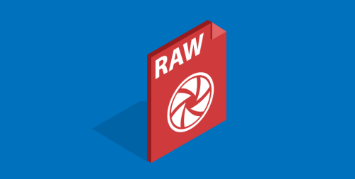 5 Best Backups for RAW Photos (Fantastic List for 2016)