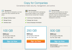 Copy - Company Price